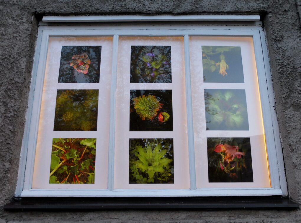 Jaak Kikas “Üksilduse aed / Hortus solitudinis”. Näitus galerii Positiivi akendel 6.-31.05.2020